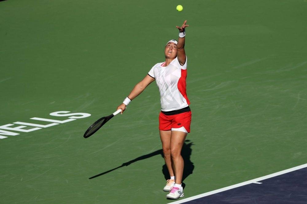 杯的捧起 杯的捧起