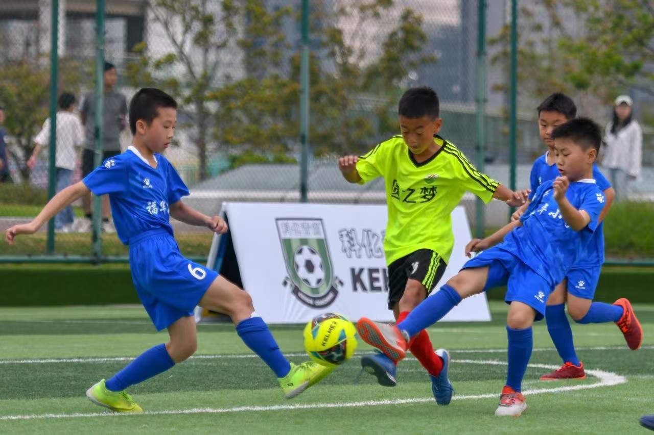 层更替节奏 层更替节奏